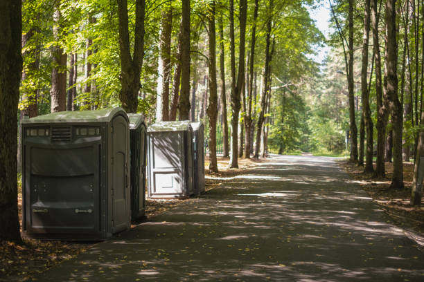 Best Porta potty rental near me  in Luray, VA