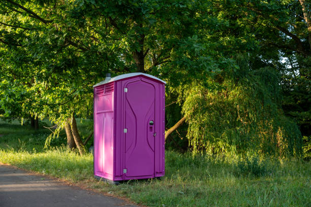 Best Porta potty rental for outdoor events  in Luray, VA
